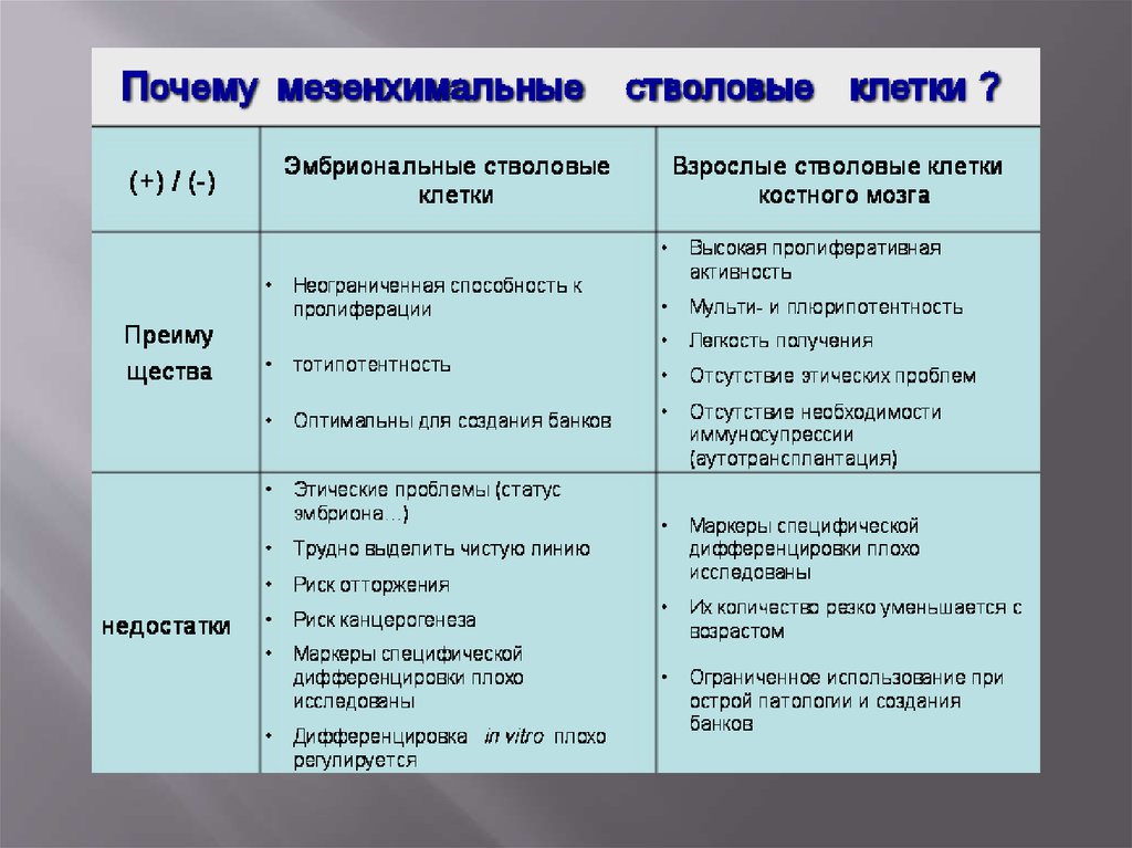 Мезенхимальные стволовые клетки. Мезенхимальные (стромальные) стволовые клетки. Мультипотентные мезенхимальные стромальные клетки. Мезенхимальные стволовые клетки применение. Мезенхимальные клетки костного мозга.