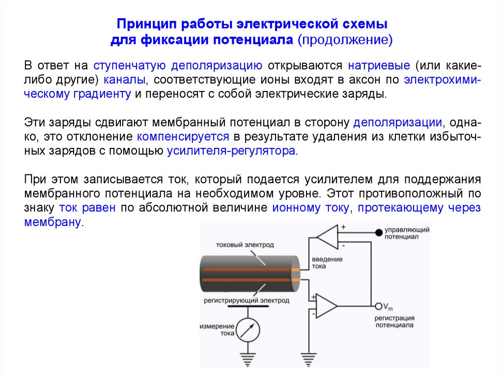 Схема с фиксированным потенциалом базы