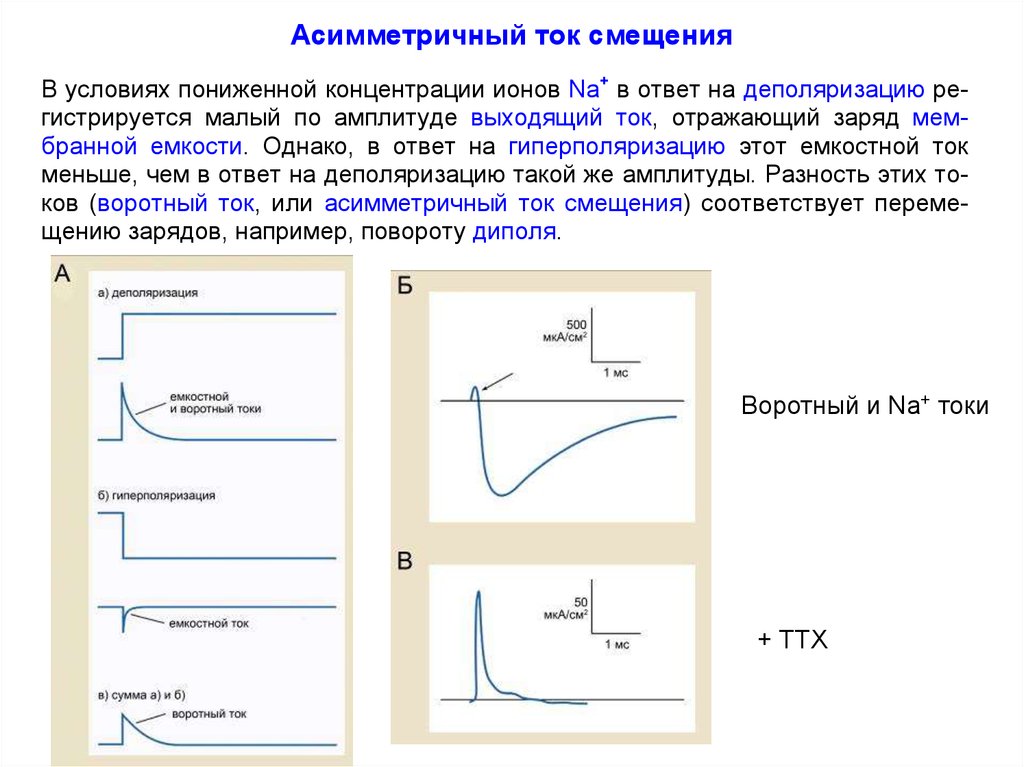 Выходящий ток. Асимметричный ток. Несимметричный ток. Асимметрия токов. Воротный ток отражает.