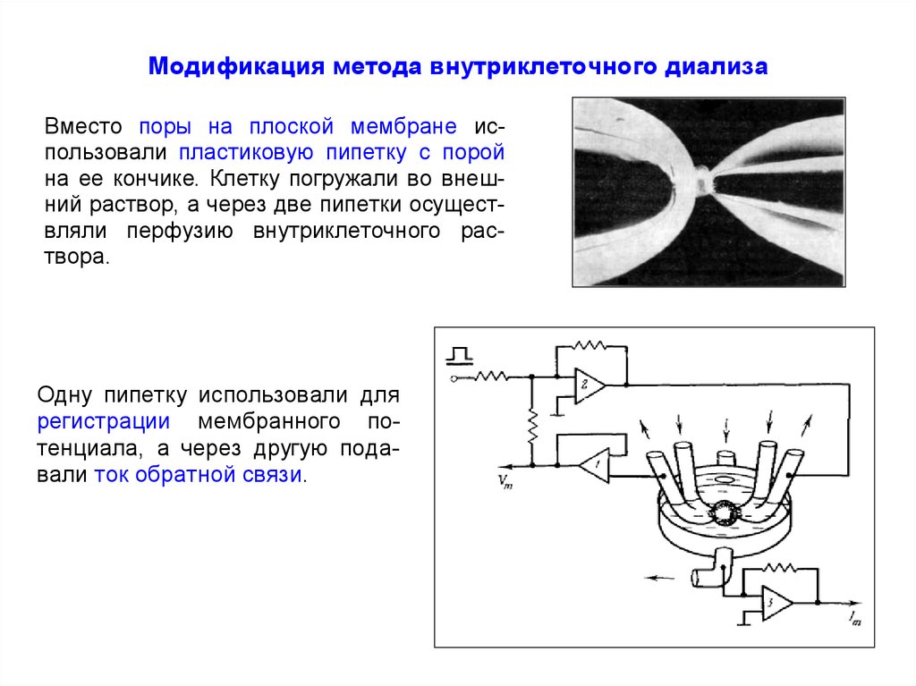 Токи вале