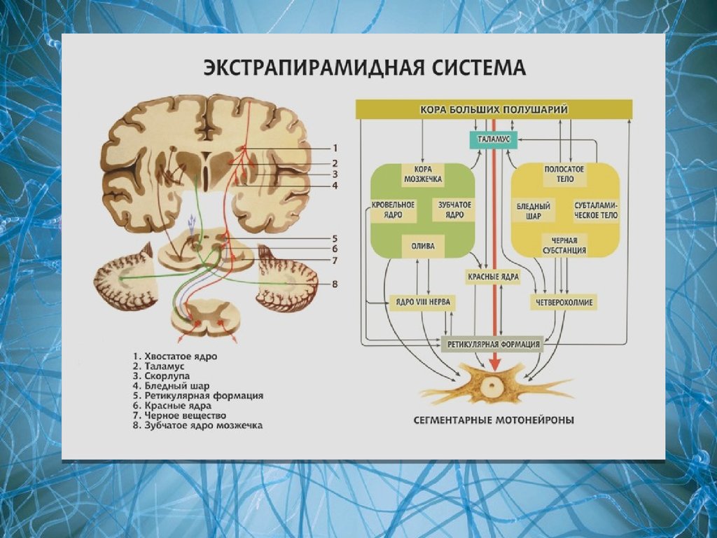 Этиология и патогенез болезни паркинсона презентация