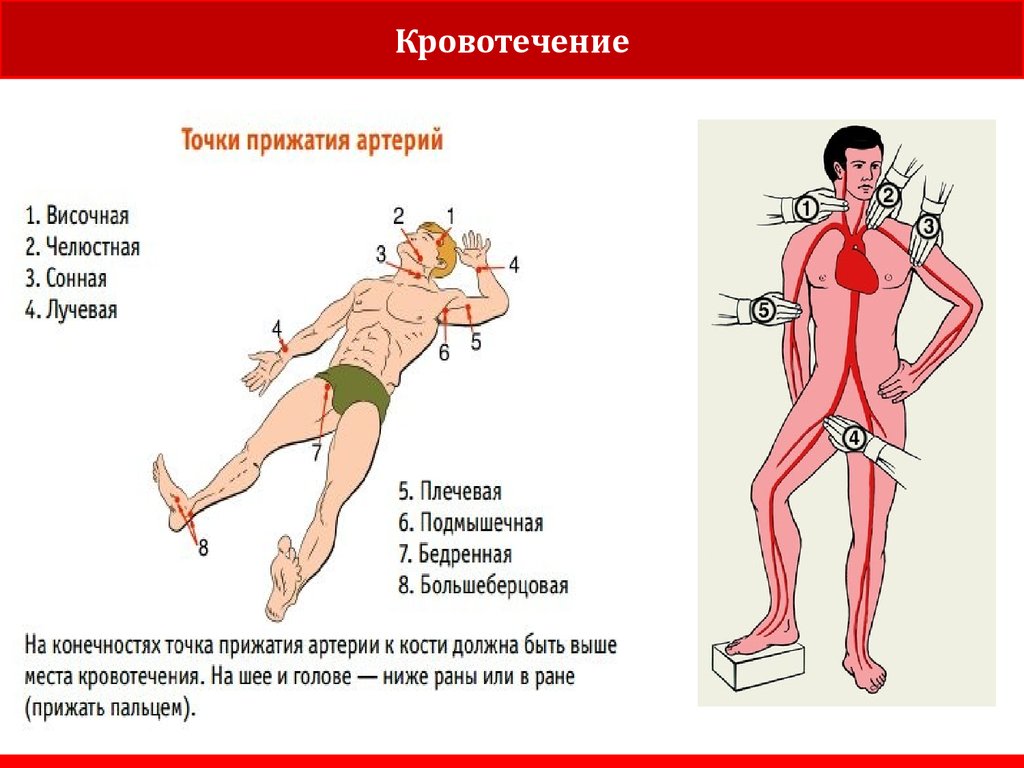 Внутренние симптомы. Признаки внутреннего кровотечения. Внутреннее кровоизлияние. Симптомы при внутреннем кровотечении. Кровотечение внутренних органов.