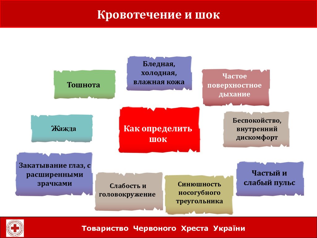 Бледная холодная. Внутреннее кровотечение ШОК. ШОК при внутреннем кровотечении. ШШОК.