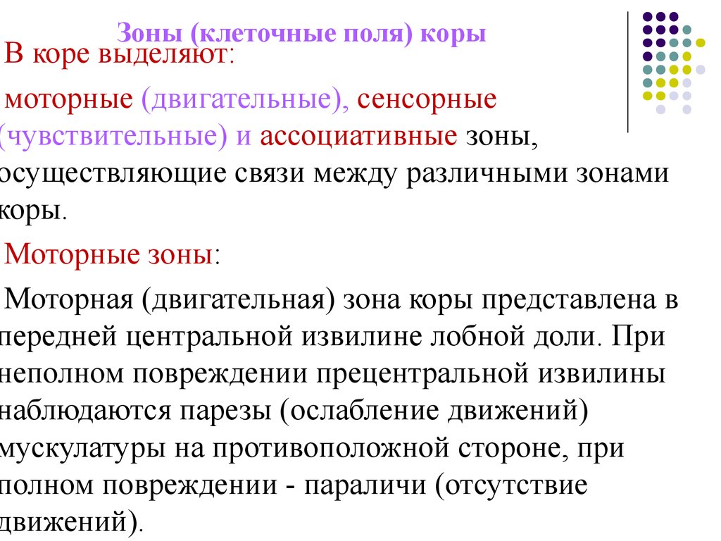 Обобщите и представьте. Двигательные и чувствительные зоны коры. Ассоциативные зоны коры. Чувствительные (сенсорные) зоны. Ассоциативные двигательные чувствительные.