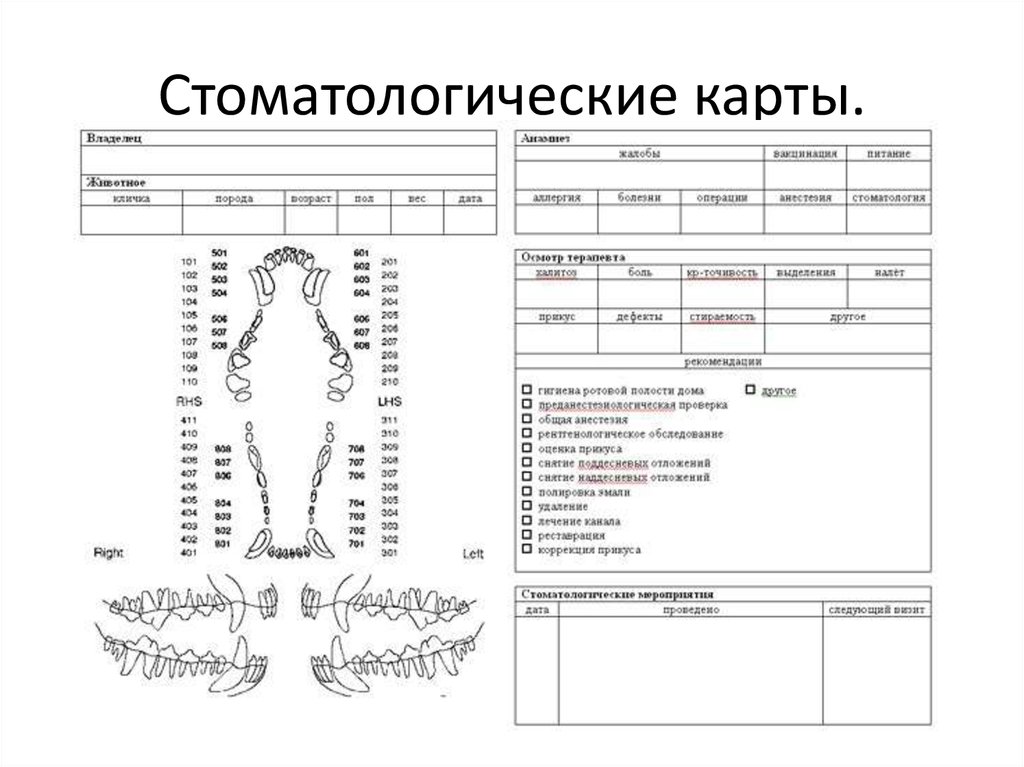 Заполненная карта стоматологического больного