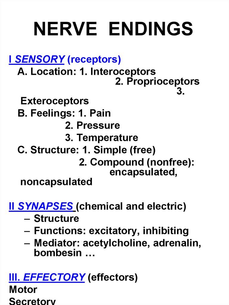 nerve endings in hands