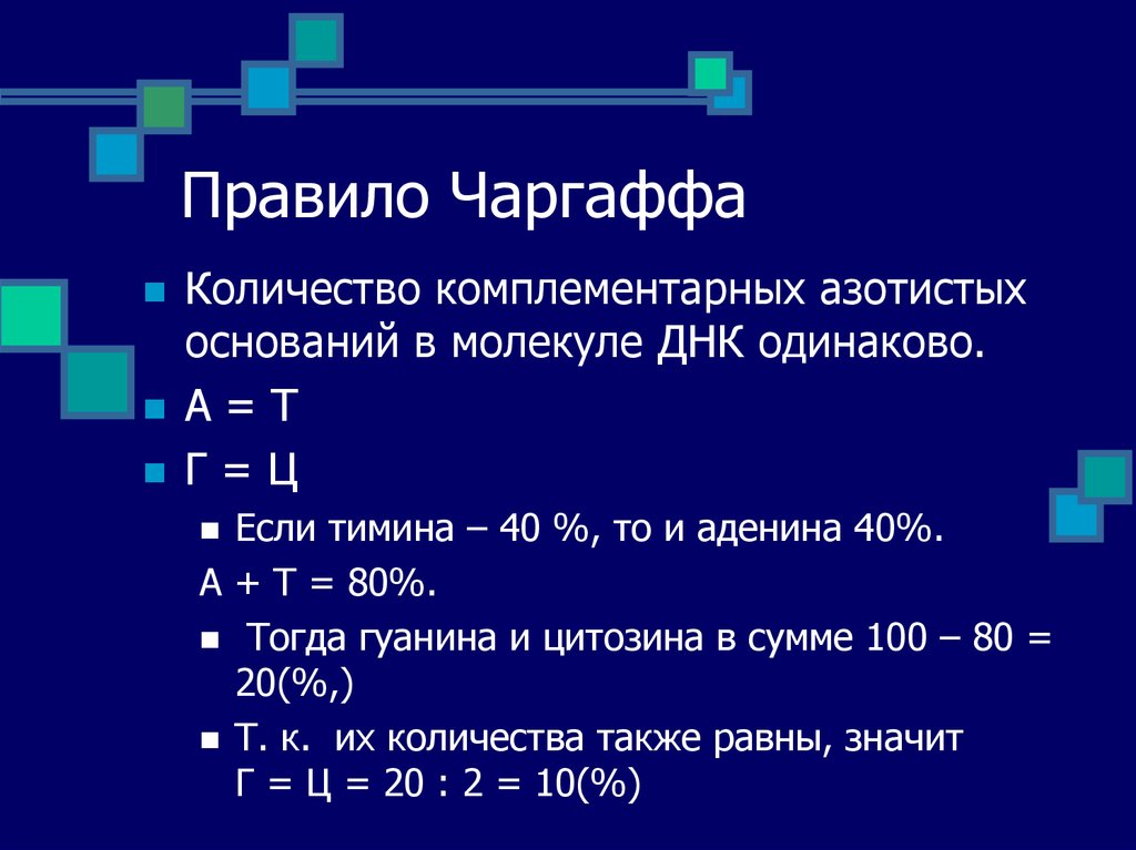 Процент нуклеотидов в днк. Правила Чаргаффа для ДНК. Правило Чаргаффа для ДНК задачи. Правило э Чаргаффа. Чаргафф правило комплементарности.