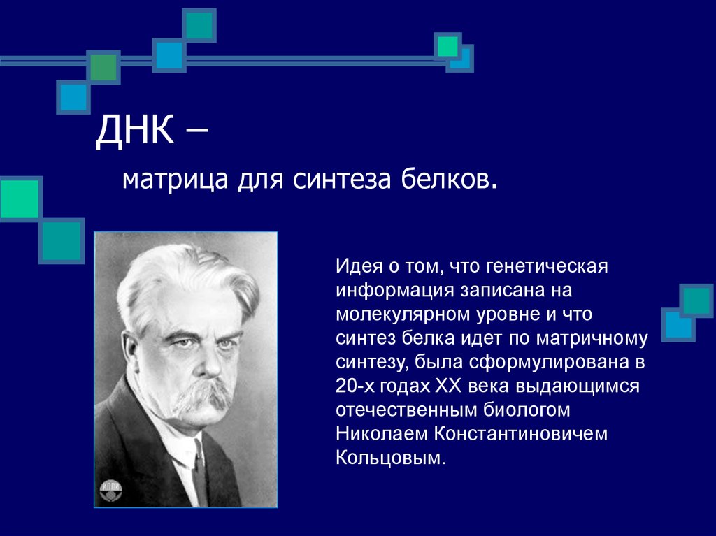 Генетической называют. ДНК матрица для синтеза белка. Молекулы ДНК матрицы для синтеза белков. Матричный Синтез ДНК. Синтез белков матрица.