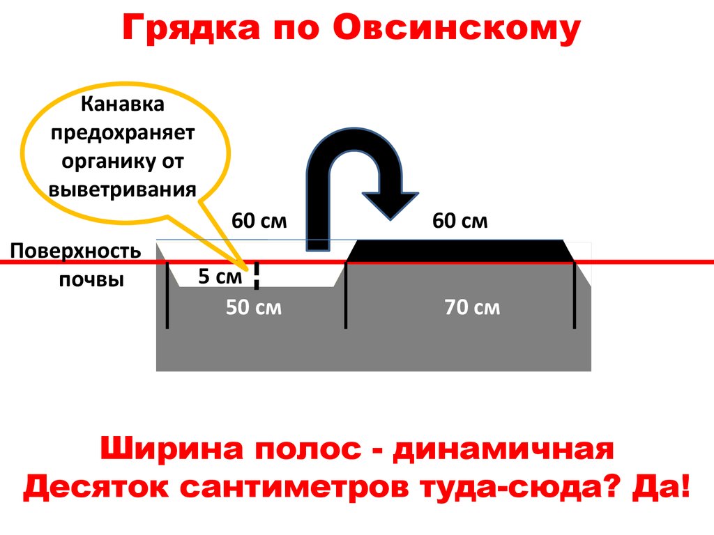 Грядка бублика схема