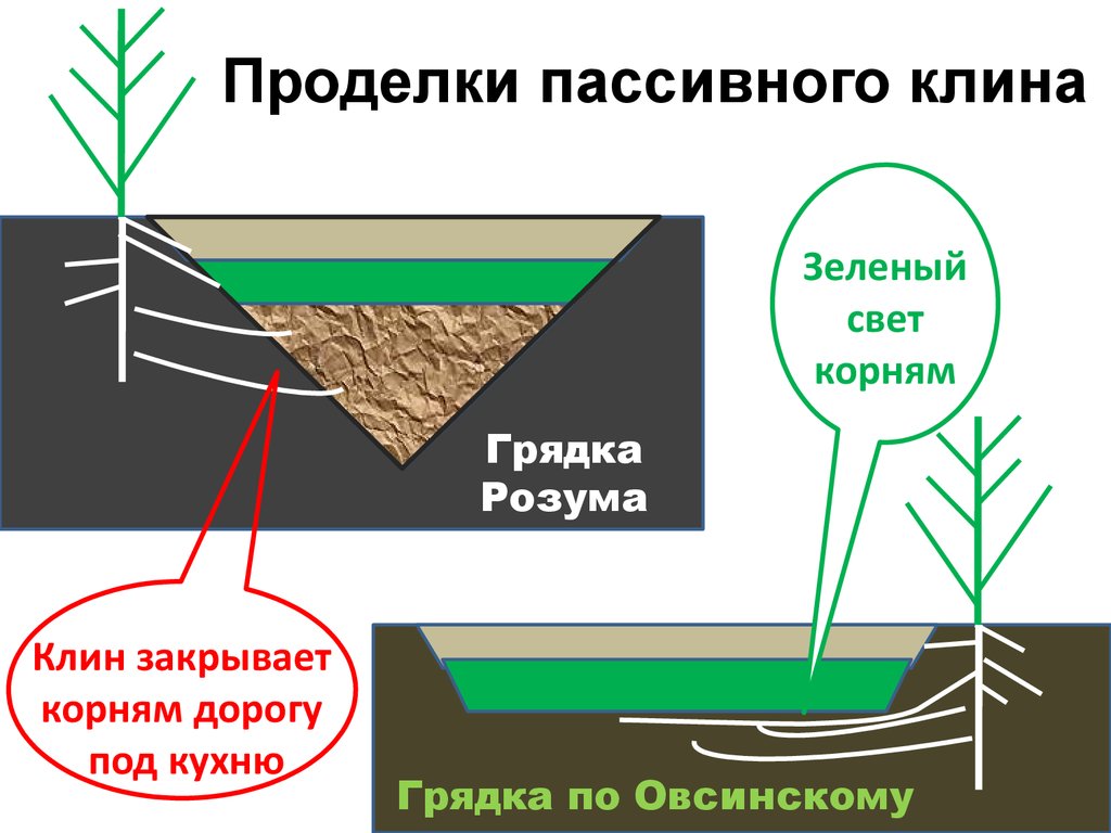 Грядка бублика схема