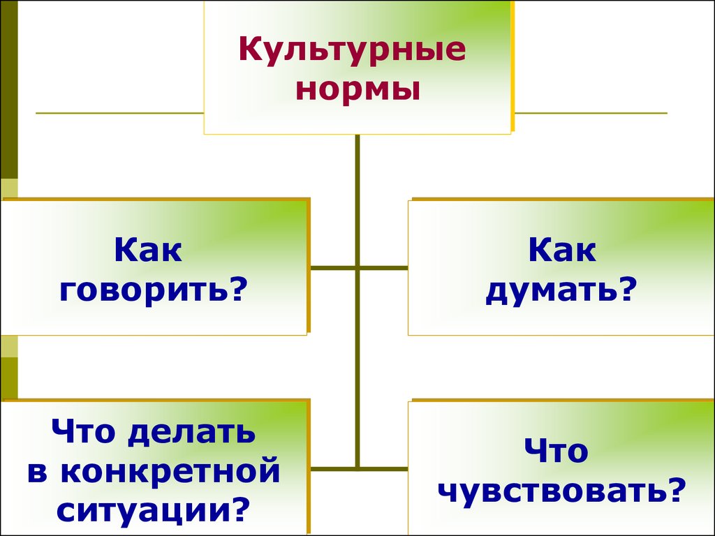 Культурные нормы. Виды культурных норм. Виды нормы культуры. Нормы культуры примеры.