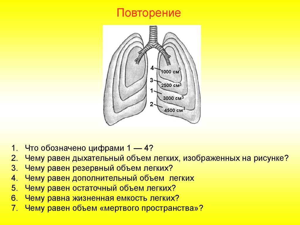 Объем легких 5 2