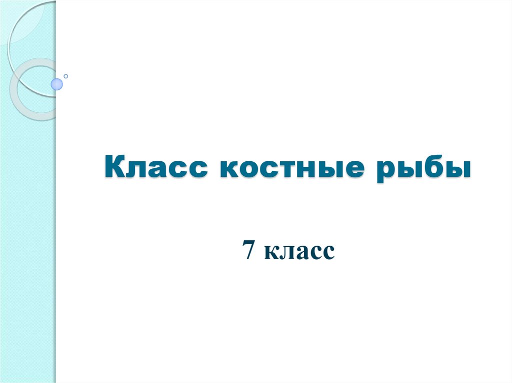 Класс костные рыбы 7 класс