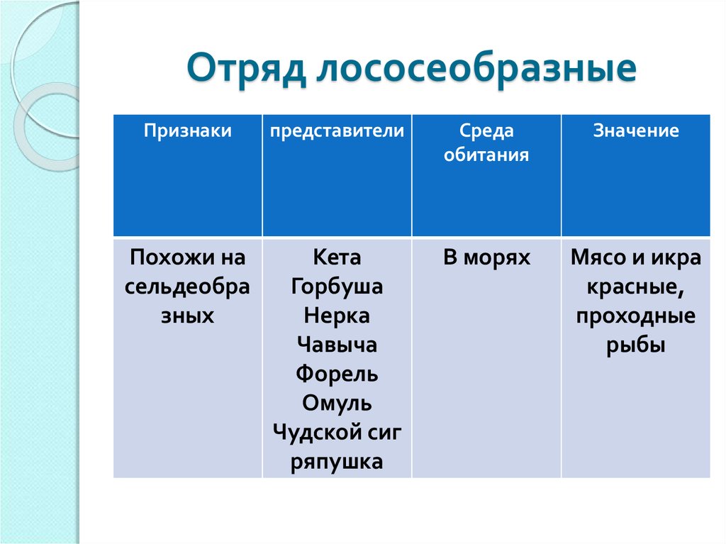 Характерные признаки представители. Признаки отряда Лососеобразные. Отряд Лососеобразные характерные признаки. Биология отряд Лососеобразные таблица. Характеристика отряда Лососеобразные.