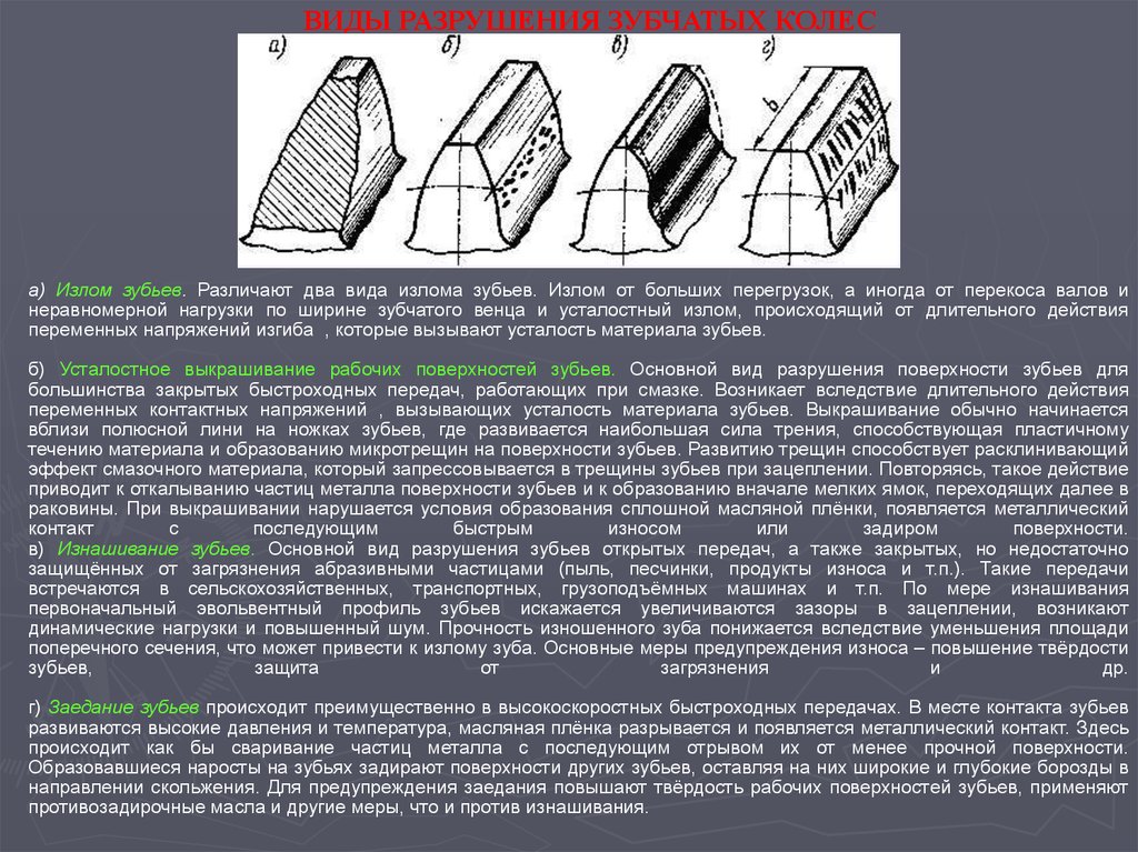 Сидячее зубчатое образование