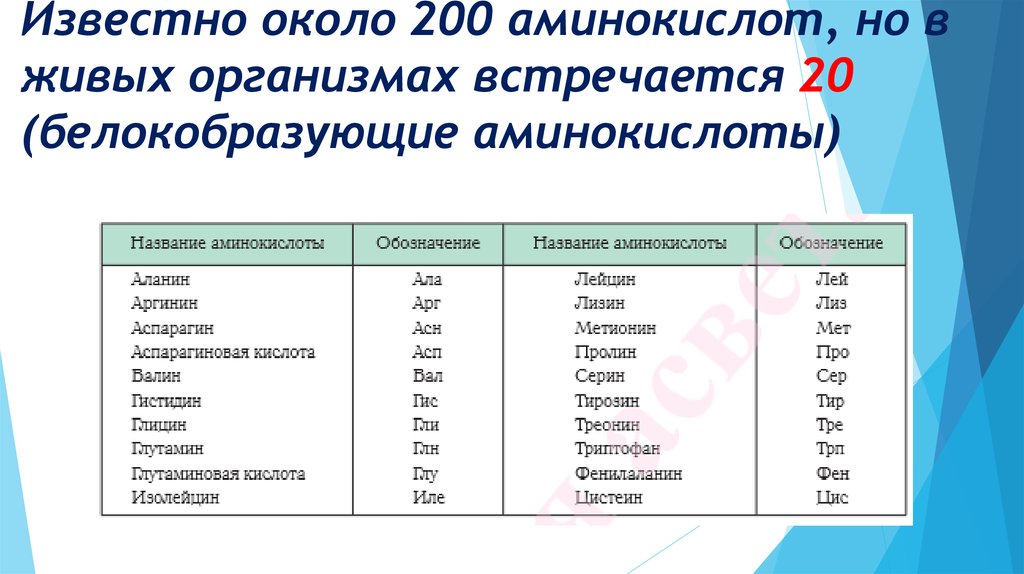 Какое число аминокислот. Расшифровка аминокислот. Количество видов аминокислот. 20 Аминокислот входящих в состав. Аминокислоты в живых организмах.