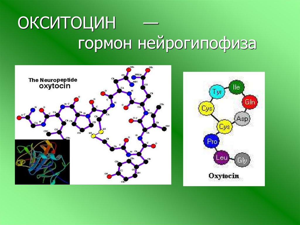 Родоусиление окситоцином схема