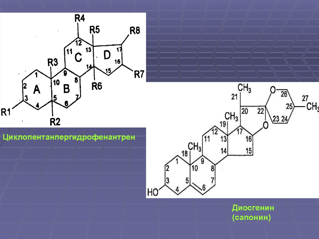 Стероидные сапонины. Диосгенин сапонин. Химическая формула циклопентанпергидрофенантрена. Структурная формула циклопентанпергидрофенантрена. Сапонины формула общая.