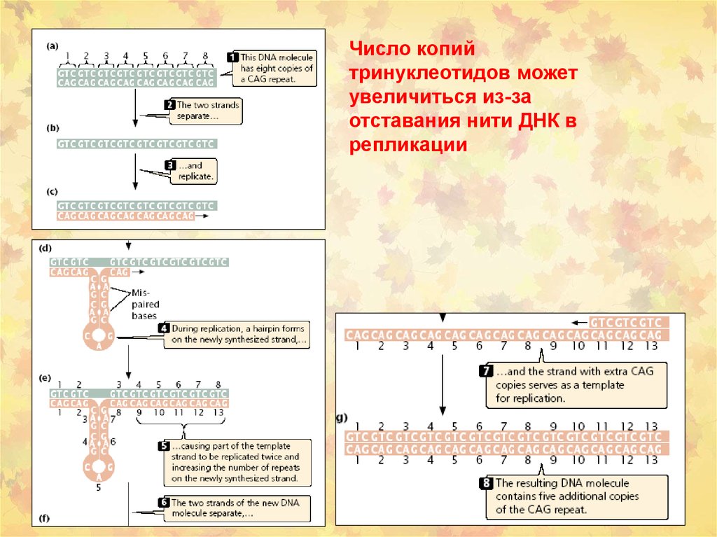 Химический канцерогенез презентация