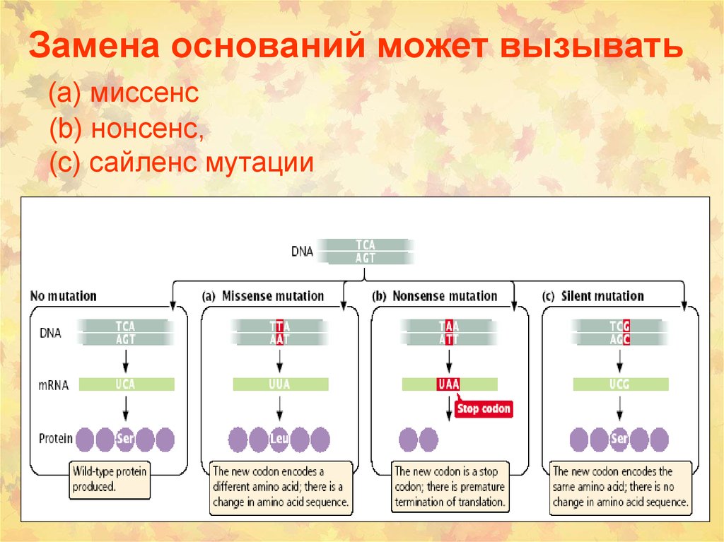 Химический канцерогенез презентация