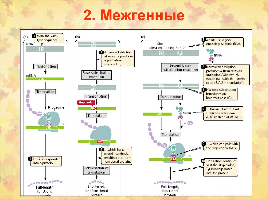 Химический канцерогенез презентация