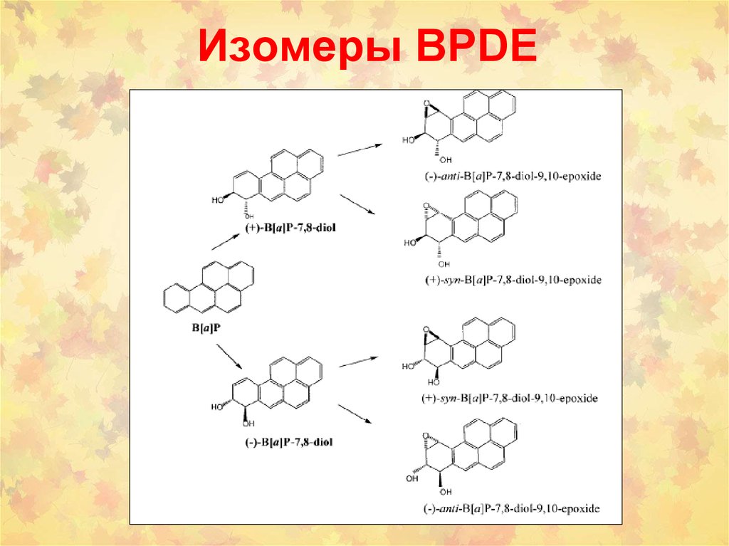 Химический канцерогенез презентация