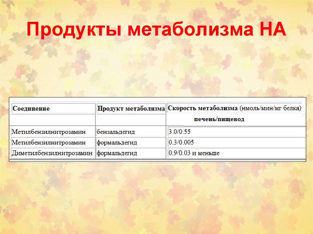 Продукты метаболизма. Продукты метаболизма это. Продукты первичного метаболитп. Продукты белкового обмена. Избыточные продукты метаболизма что.