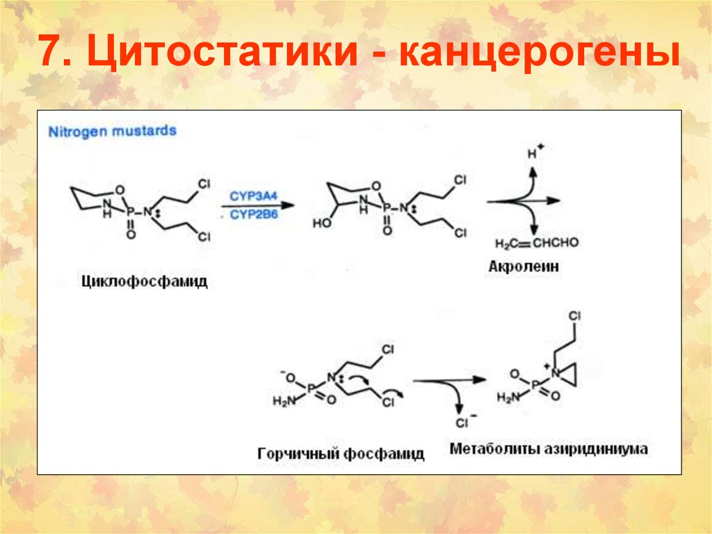 Цитостатики что это такое