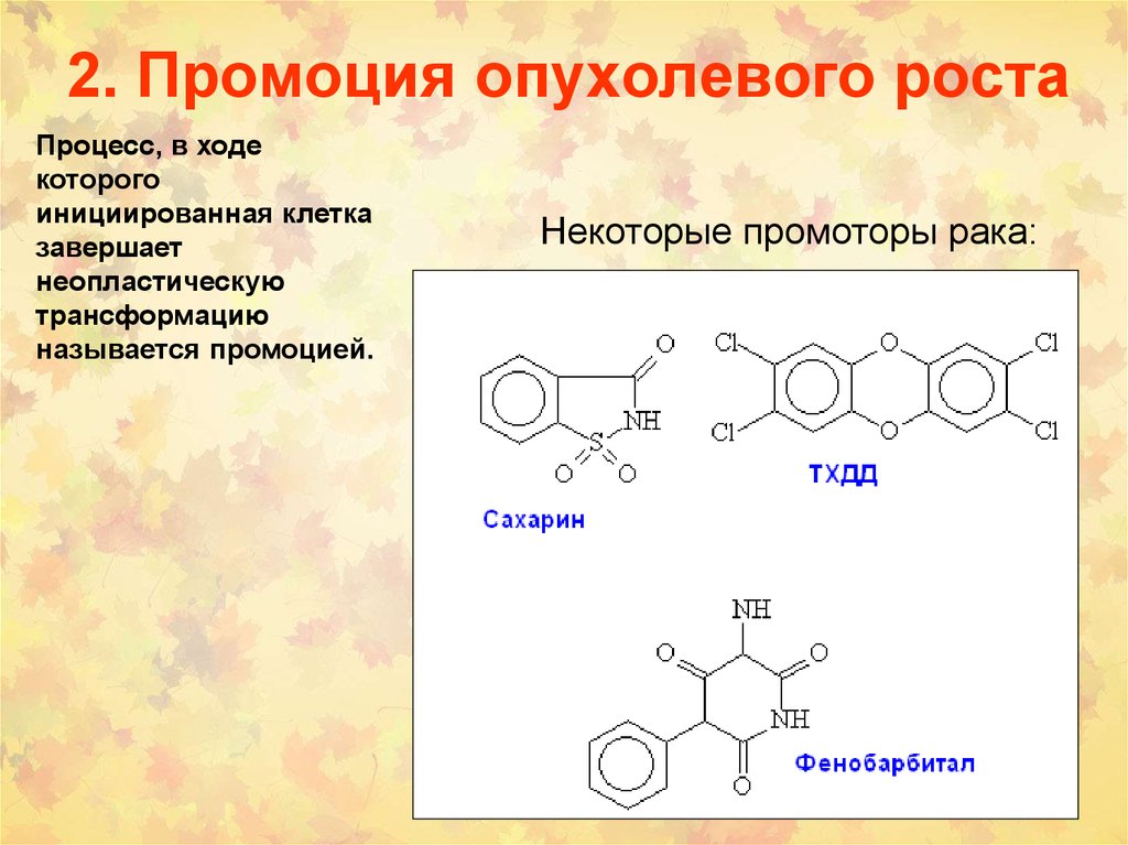 Процесс в ходе которого. Промоция опухолевого роста. Этапы опухолевого роста. Промоция. Вторая стадия опухолевого роста.