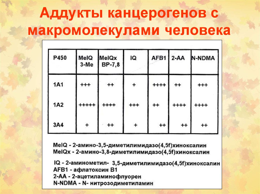 Химический канцерогенез презентация