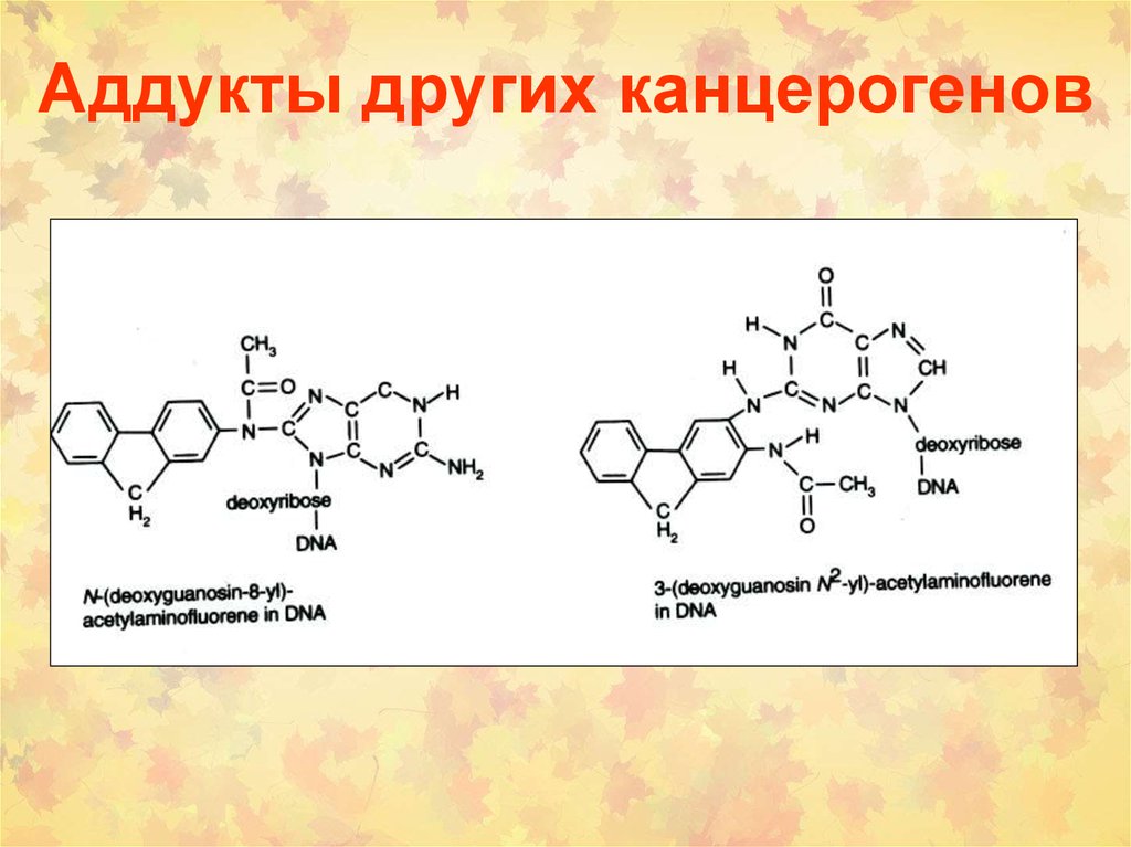 Химический канцерогенез презентация