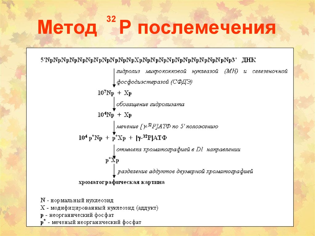 P 1 method. Классификация канцерогенов. Представление о химическом канцерогенезе.