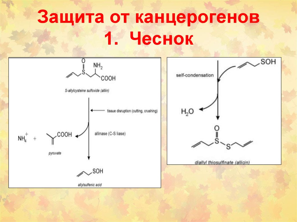 Химический канцерогенез презентация