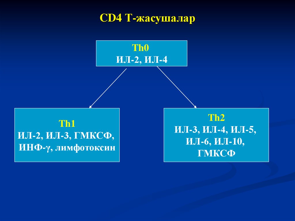 CD4 Т-жасушалар