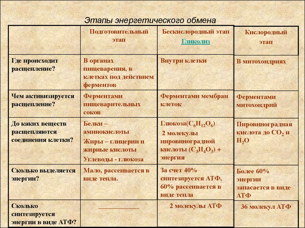 Пластический энергетический обмен презентация. Сравнение этапов энергетического обмена таблица. Таблица этапы энергетического обмена биология. Этапы энергетического обмена таблица 10 класс.