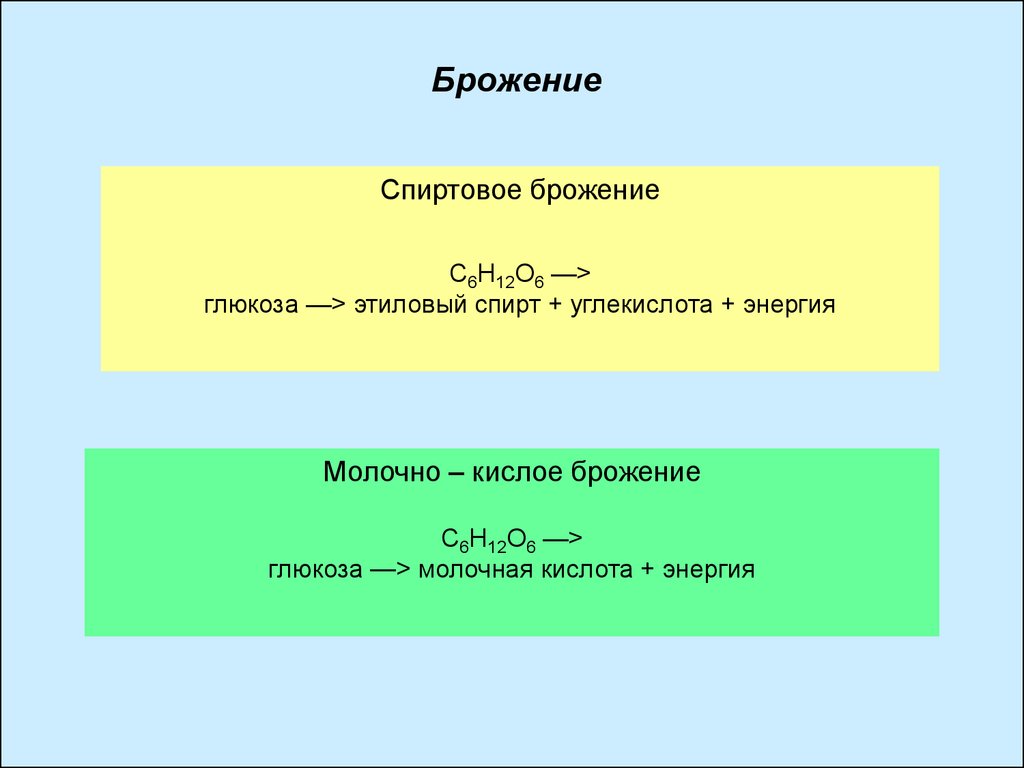 Брожение глюкозы продукт реакции. Типы брожения микробиология таблица. Основные типы брожения. Типы брожения схема. Виды брожения таблица.