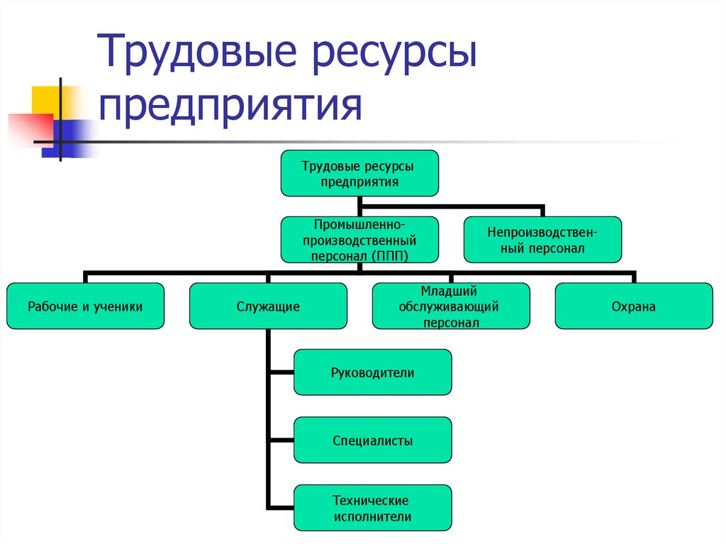 Трудовые ресурсы кадры. Состав и структура трудовых ресурсов организации схема. Классификация трудовых ресурсов схема. Состав и структура трудовых ресурсов трудовые ресурсы предприятия. Структура трудовых ресурсов предприятия схема.