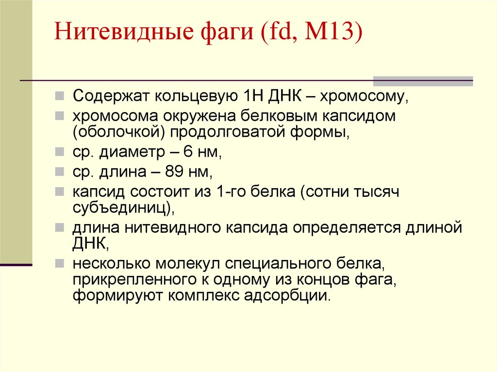 Н м ср. Нитчатого фага m13. Нитевидные фаги m13 и FD. Изменение ДНК нитчатого фага m13.