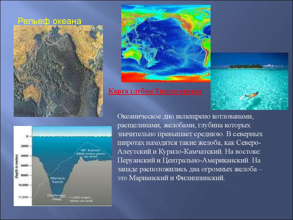 Глубины океана презентация