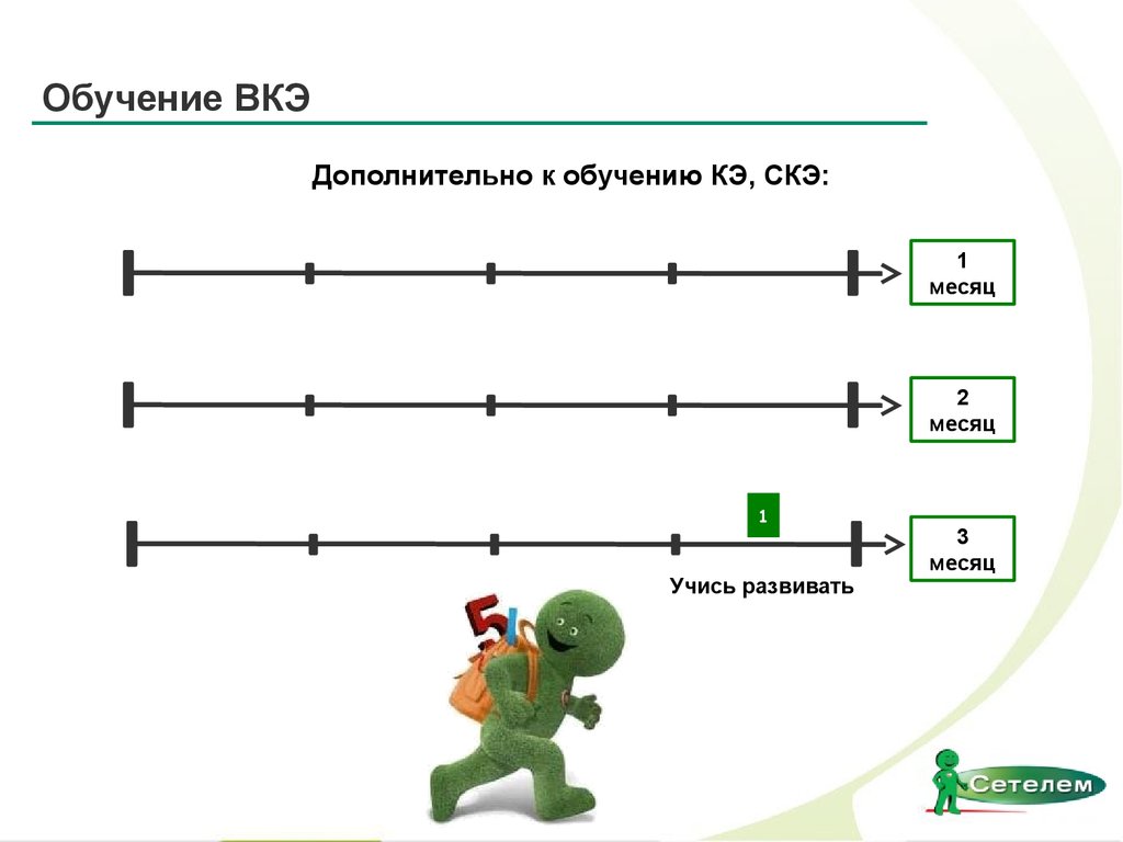 Дополнительный месяц