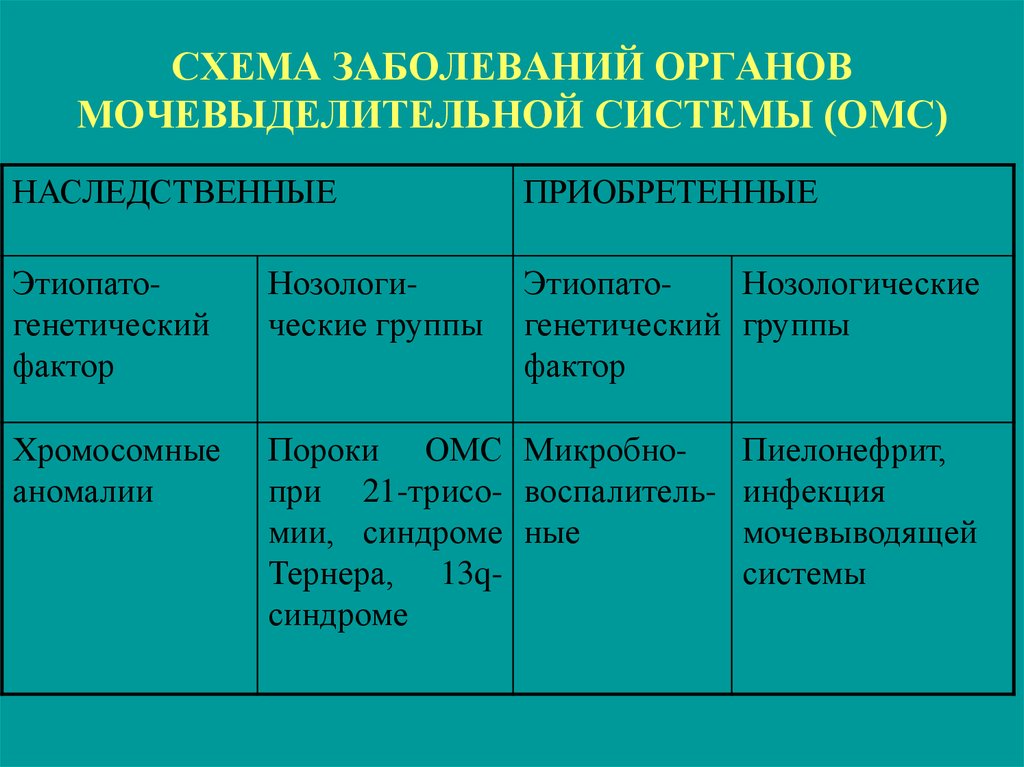 Болезни систем органов. Заболевания мочевыделительной системы. Заболевания органов мочеотделения. Мочевыделительная система заболевания. Заболевания органов мочевыделительной системы.