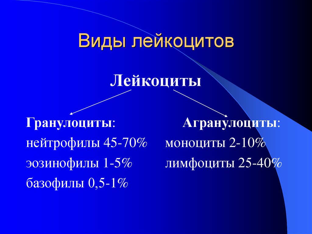 Виды лейкоцитов. Лейкоциты виды лейкоцитов. Виды лейкоцитов гранулоциты и агранулоциты. Лейкоциты разновидности гранулоциты.