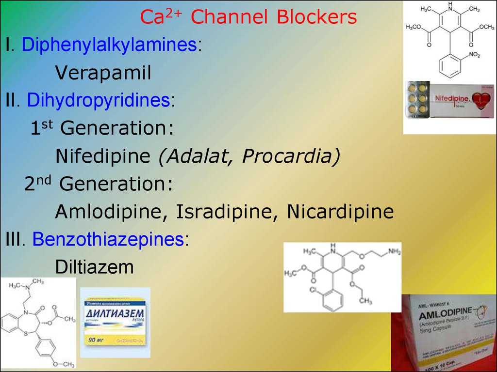 Ca2+ Channel Blockers
