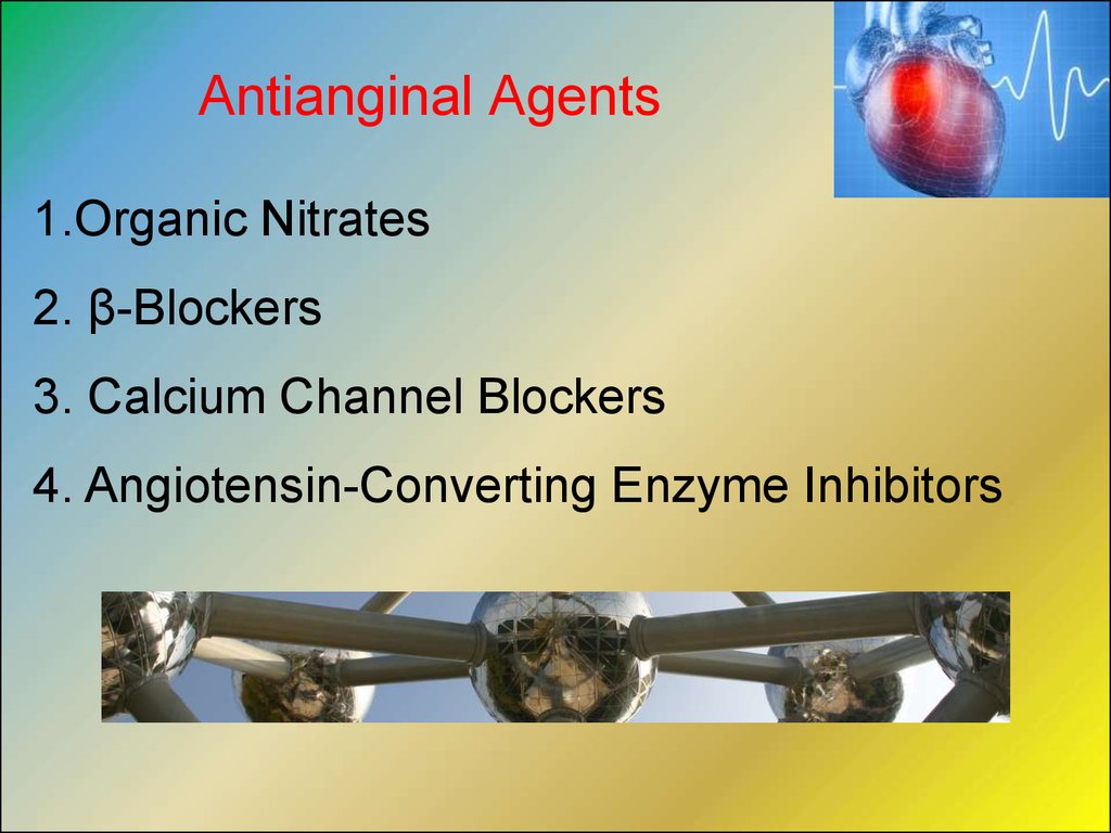 Antianginal Agents and Hypotensive Agents - ppt download