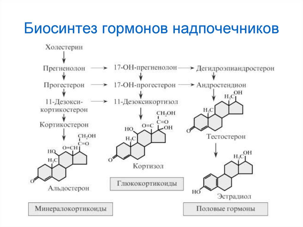 Холестерин выработка. Схема биосинтеза стероидных гормонов в коре надпочечников. Схема синтеза гормонов надпочечников. Схема биосинтеза гормонов коры надпочечников. Схема синтеза стероидных гормонов биохимия.