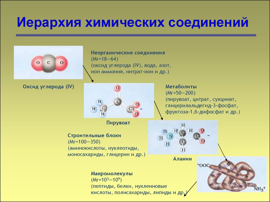 Укажите химическое соединение. Соединения в химии. Химические соединения веществ. Химия соединений углерода. Химические соединения в химии.