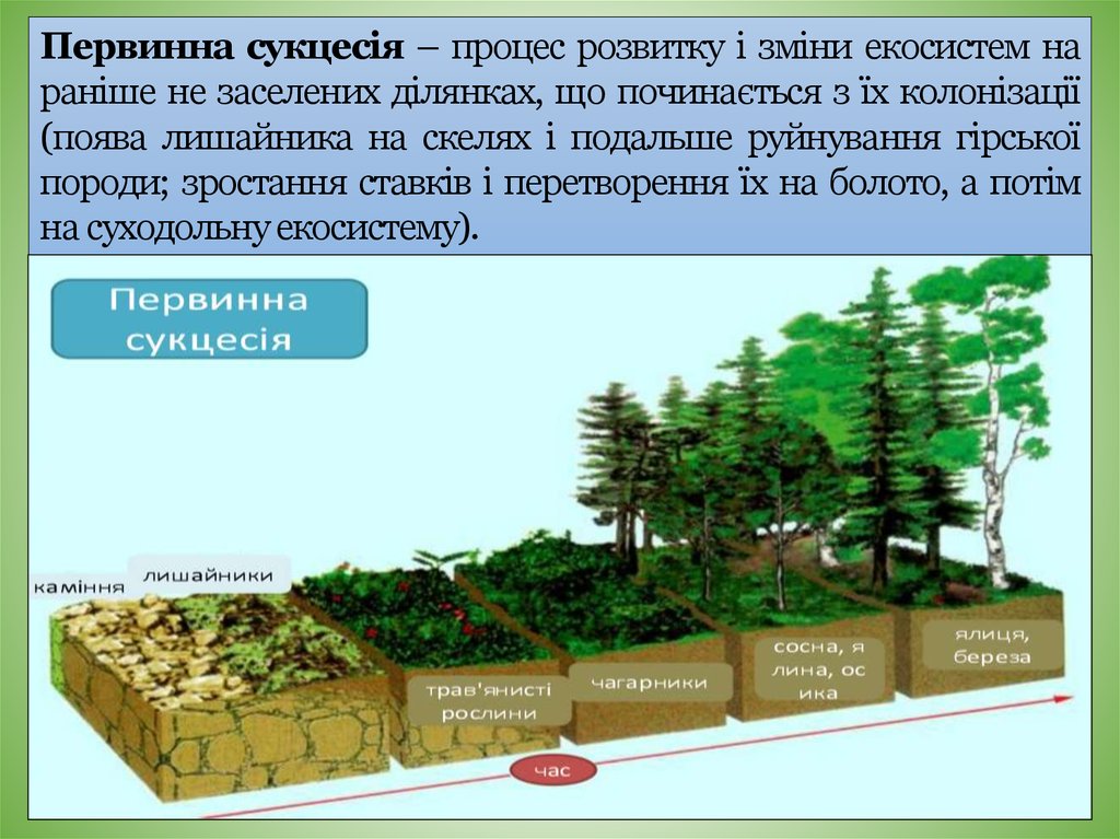 Натуральная система