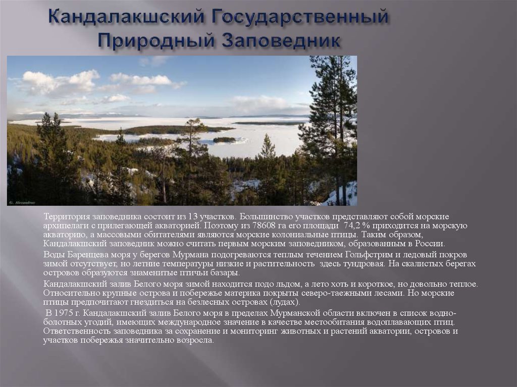 Участок представляет собой. Кандалакшский заповедники России. Кандалакшский государственный природный заповедник территория. Достопримечательности Кандалакшского заповедника. Достопримечательности европейского севера России.