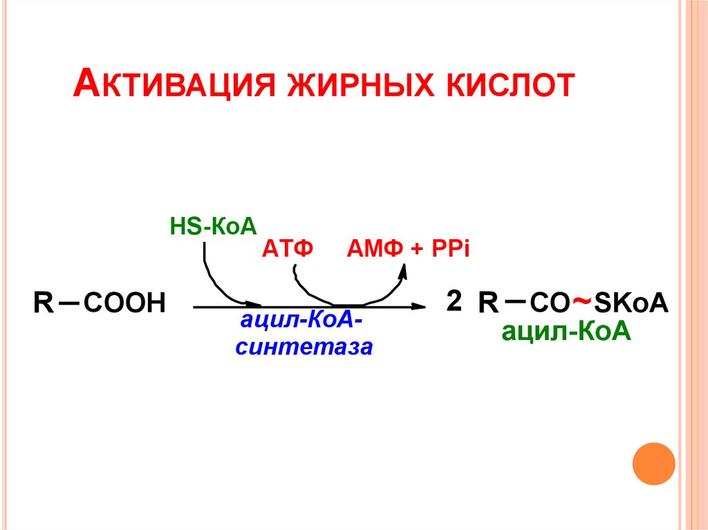 Схема окисления ацетил коа до углекислого газа и воды