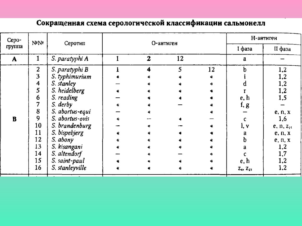 Результат группы е. Схема Кауфмана-Уайта сальмонелл. Группы сальмонелл. Таблица Кауфмана Уайта сальмонеллы. Классификация Кауфмана-Уайта сальмонелл.